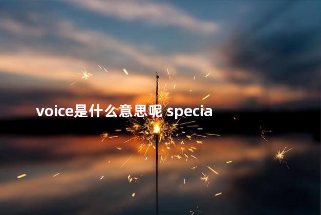 voice是什么意思呢 special是什么意思中文